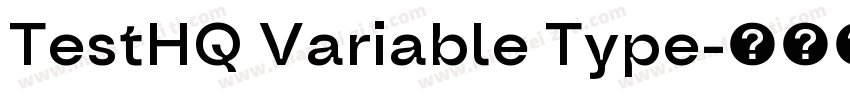 TestHQ Variable Type字体转换